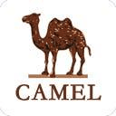 camel骆驼