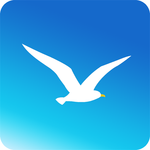 海鸥加速器官方版app